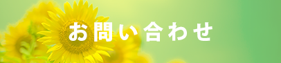 新卒採用エントリーシート